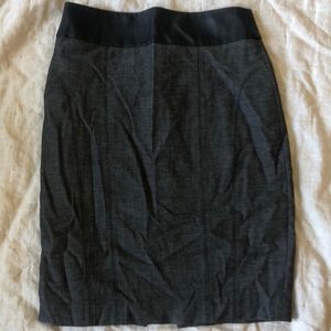 Express Skirt
